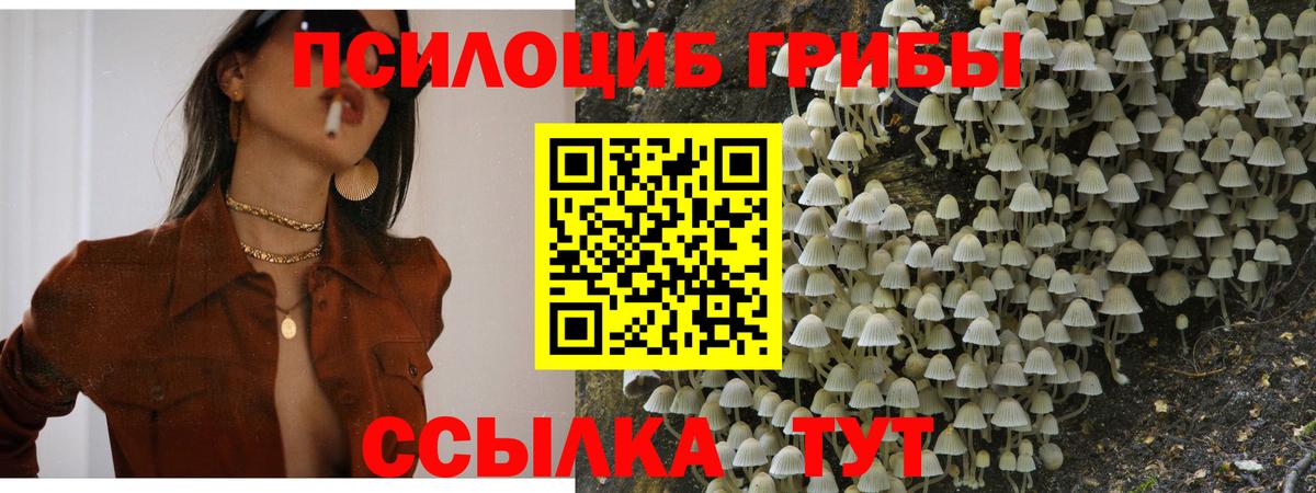 Заринск  Галлюциногенные грибы ЛСД  Вход с VPN 